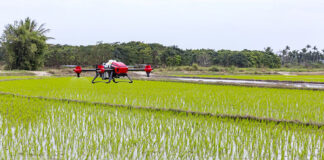 Drony w rolnictwie – jaką pełnią rolę