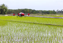 Drony w rolnictwie – jaką pełnią rolę