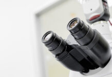 Lornetki i mikroskopy – czyli jak bliżej obserwować świat dookoła Lornetki i mikroskopy