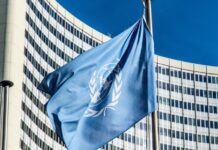 Czy da się zarobić na NFT? Czy da się zarobić na NFT?