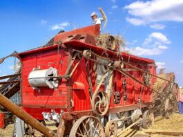 Jakich zawodów nie zastąpi AI?