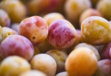 Jakie są koszty prowadzenia sklepu internetowego?