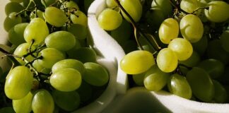 Co lepsze PrestaShop czy Shoper? Co lepsze PrestaShop czy Shoper?