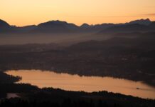 W jakie NFT warto inwestować?