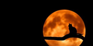 Ile kosztuje roczne utrzymanie strony internetowej? Ile kosztuje roczne utrzymanie strony internetowej?