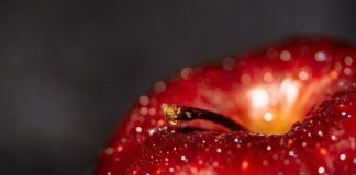 Jakie są korzyści z istnienia sztucznej inteligencji?