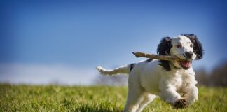 Jak odzyskać pieniądze z kryptowaluty?