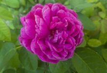 Jaki ZUS za sklep internetowy? Jaki ZUS za sklep internetowy?