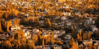 Co to jest HDR w aparacie w telefonie?