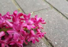 Jak działa Dalle 2? Jak działa Dalle 2?