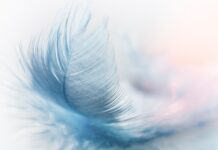 Która platforma sklepowa jest najlepsza? Która platforma sklepowa jest najlepsza?