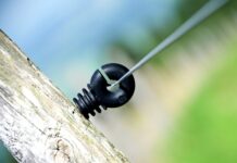 Ile procent Polaków posiada kryptowaluty?