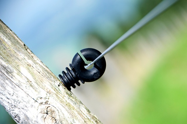 Ile procent Polaków posiada kryptowaluty? Ile procent Polaków posiada kryptowaluty?