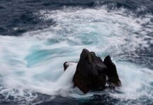 Co zrobić gdy cena akcji spada?