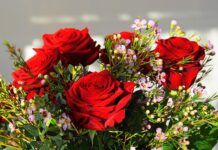 Ile kosztował najdroższy bitcoin? Ile kosztował najdroższy bitcoin?