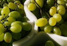 Co to jest shop pay?