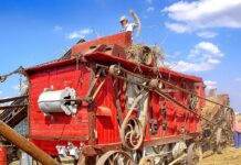 Jakich zawodów nie będzie? Jakich zawodów nie będzie?