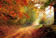 Co powoduje spadek bitcoina? Co powoduje spadek bitcoina?