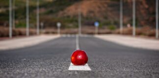 Jakie są nietypowe zawody?