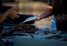 Co sprzedawać w internecie 2023? Co sprzedawać w internecie 2023?