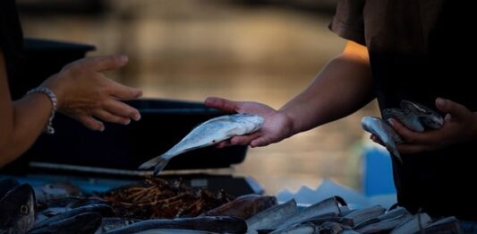 Co trzeba zrobić żeby sprzedawać w internecie? Co trzeba zrobić żeby sprzedawać w internecie?