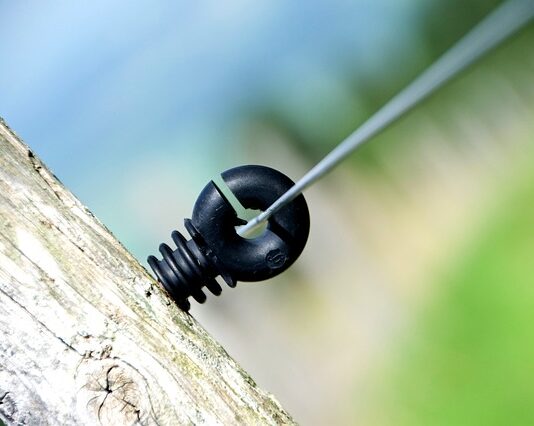 Ile Polaków inwestuję w kryptowaluty?