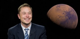 Jakie krypto posiada Elon Musk?