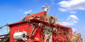 Jakich zawodów nie zastąpi sztuczna inteligencja? Jakich zawodów nie zastąpi sztuczna inteligencja?