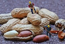 Gdzie pracują młodzi ludzie? Gdzie pracują młodzi ludzie?