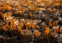 Co to jest HDR w telefonie?