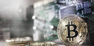 Kto zarabia na krypto? Kto zarabia na krypto?